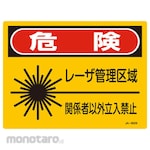 Japan Green Cross Laser Sign