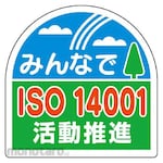 Unit Signs Helmet Sticker ISO14 PP