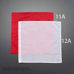 ESCO Hand Flag (Flag Only)