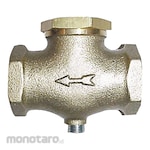 CONTROL DEVICES Pneumatic Check Valve