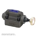 Jaguar Throttle and Check Valve