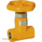 RIKEN (RIKEN Equipment) Check valve with bypass