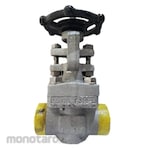 WKK Armaturen Gate Valve