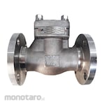 WKK Armaturen Swing Check Valve