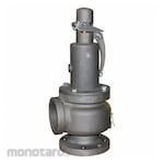 Apollo Relief Valves