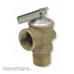 CASH ACME Relief Valves