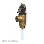 CASH ACME Temperature and Pressure Relief Valves