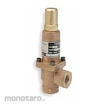 CASH VALVE Relief Valves