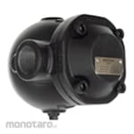 Pennant Ball Float Steam Traps PT61