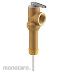 Rheem Relief Valves for Water Heaters