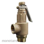 Tsushima Safety Valve With Lever (Katup Safety)