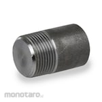 JD Delcorte BULL PLUG A105 NPT SOLID TYPE JD