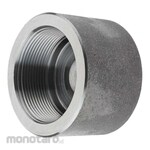 Mega CAP 350-LF2 NPT 3M MEG