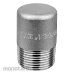 Mega ROUND PLUG 304/L NPT 3/6M MEG