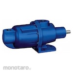 MOYNO Pedestal-Mount Progressive Cavity Pump