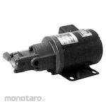 Nippon Oil Pump Motor Trochoid