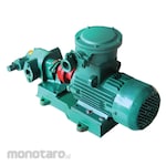 Verpo Heavy Duty Gear Pump (Pompa Oli)