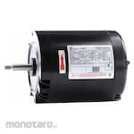 CENTURY Jet Pump AC Motor