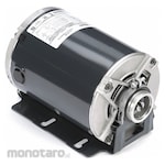 MARATHON MOTORS Carbonator Pump AC Motor