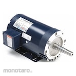 MARATHON MOTORS Close-Coupled Pump AC Motor