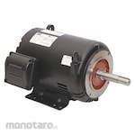 WEG Close-Coupled Pump AC Motor