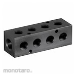 PNEUMADYNE INC Pipe Manifolds