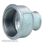 TSP Screw Fitting Vlok Sock Galvanized