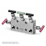 Fitok Five Valve Manifolds
