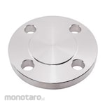 ULMA Blind Flange 316/L RF 150#