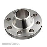 METALFAR Welding Neck 304/L RF 150# S10s 2" MFF