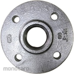 Osaka Pipe Fitting & Valve Water flange JIS FC200 White