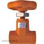 RIKEN (RIKEN Equipment) Bypass check valve