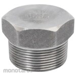 BW HEX PLUG Carbon Steel A105N NPT 3000# / 6000#