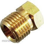 Orthophone Tightening Plug