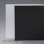 ESCO 565x980x0.75mm PP board (translucent / 10 sheets)