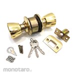 BESTGUARD Gold Flat Lock
