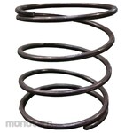 Eins Spring for Piston