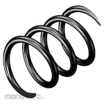 Sandvik Helical Coil Spring