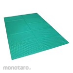 Kakuri SUNDRY Fold-up Cushion Mat Double