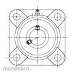 FBJ Pillow Block Unit Sku Type