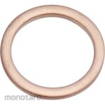 ESCO 12X16X1.5mm Copper Packing 20 Piece