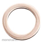 ESCO 14X18X1.5mm Copper Packing 20 Piece