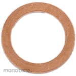 ESCO 17X23X1.5mm Copper Packing 10 Piece