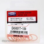 ESCO 18X22X1.5mm Copper Packing 10 Piece