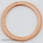 ESCO 22X27X1.5mm Copper Packing 10 Piece