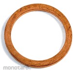 ESCO 26X32X2.0mm Copper Packing 10 Piece