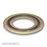 Everlasting Spiral Wound Gasket SWG304G In/Out Carbon Steel C150 (Paking Spiral)