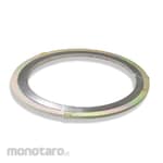 Everlasting Spiral Wound Gasket SWG304G In/Out SS304 C300 (Paking Spiral)