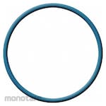 DETECTO O-Ring Seal (Oring)