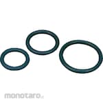 FLONCHEMICAL Fluororesin Coated O-Ring